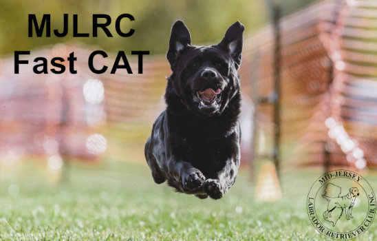 Event Logo for Fall Fast CAT